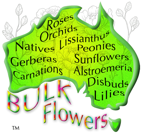 BULK FLOWERS